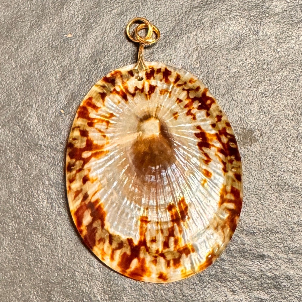 2"‎ Oval Seashell Pendant Necklace Golden Wire Wrap Earth Tones Iridescent